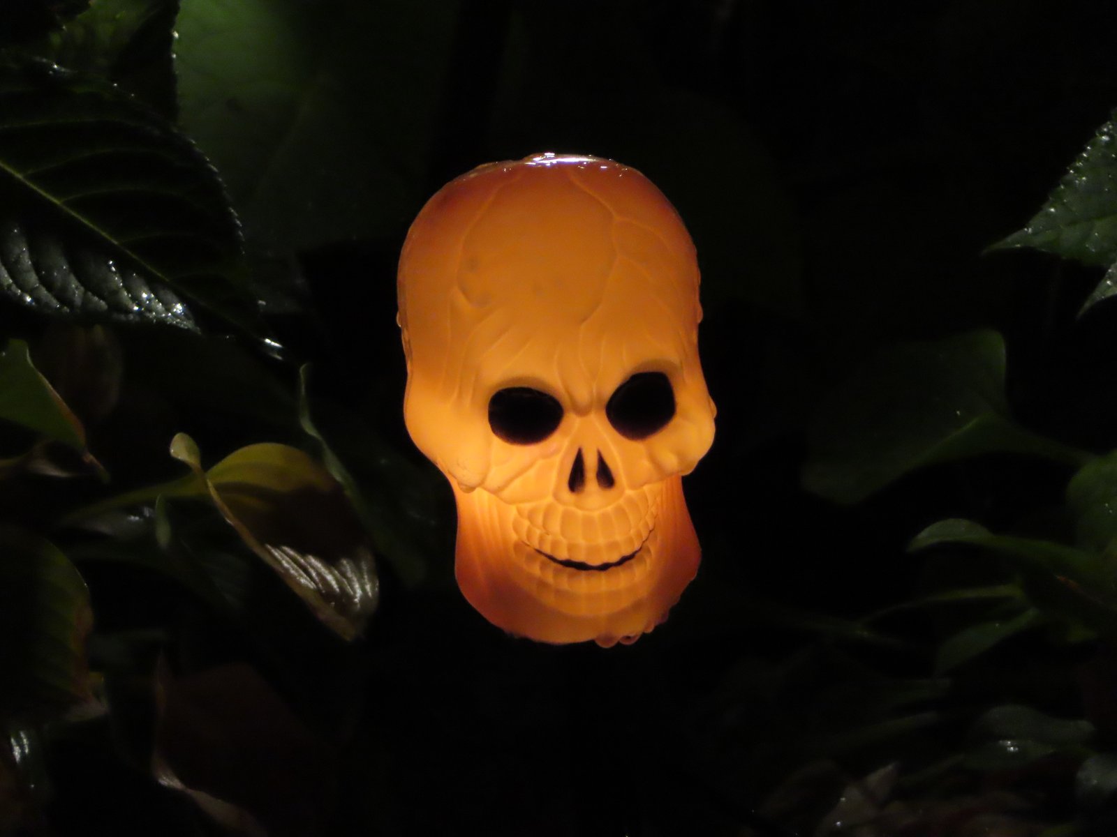 A small orange glowing skull.