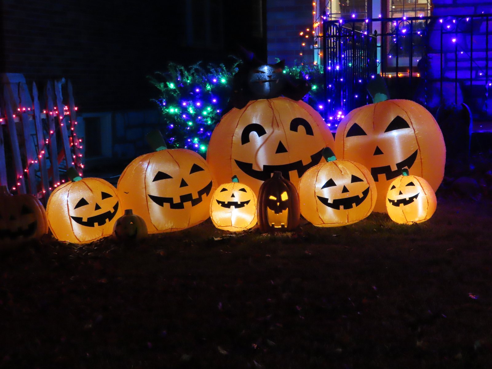 A gaggle of blow up jack-o-lanterns.